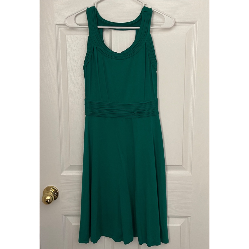 Max Studio Brand Dress